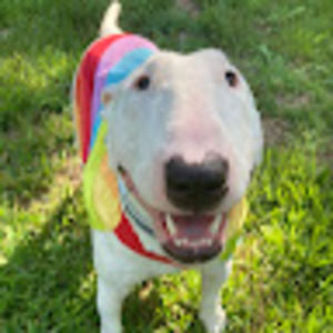 Meet your Posher, Nicholas